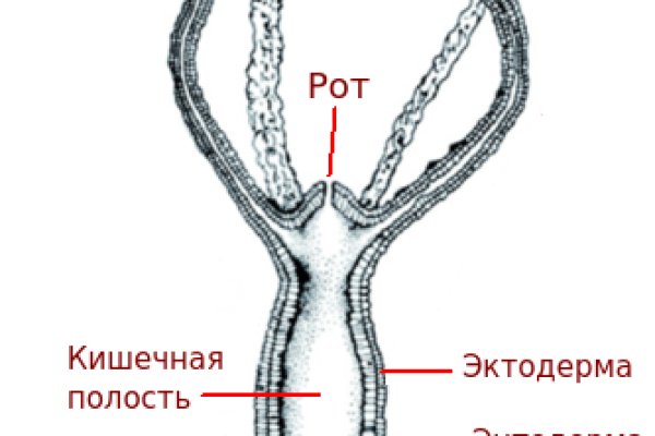 Karken
