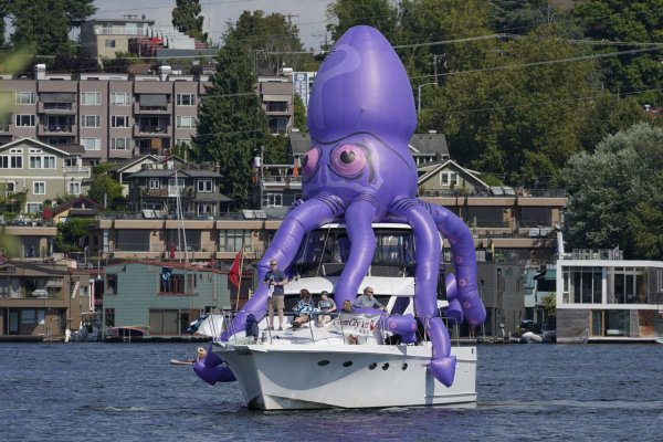 Kraken tor link