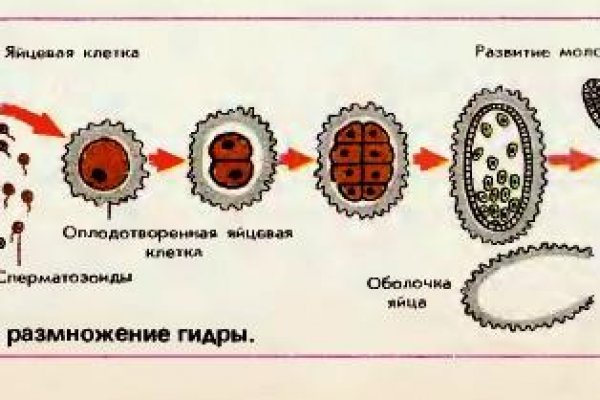 Как найти сайт кракен