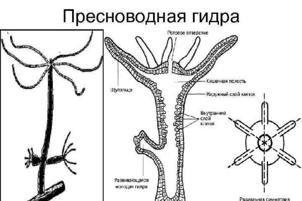 Кракен тор браузер