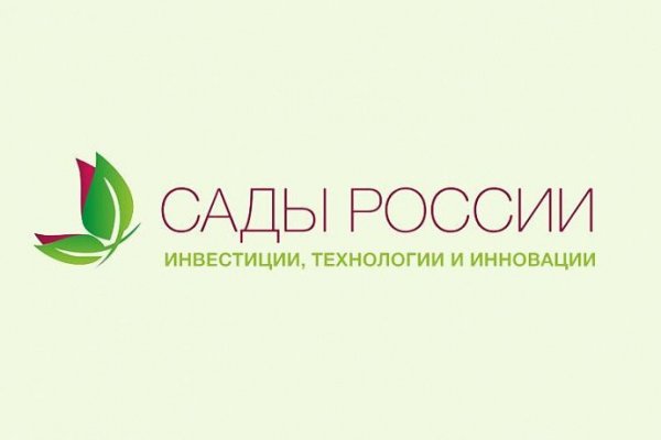 Где найти рабочую ссылку на кракен